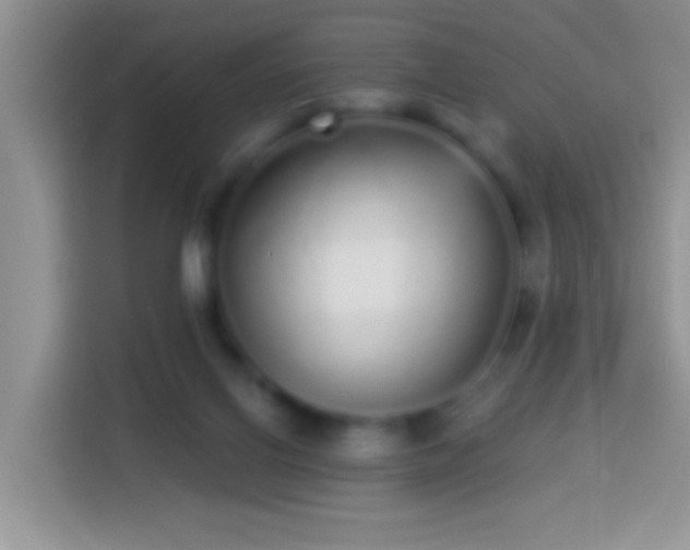 X0000113880070200910011141