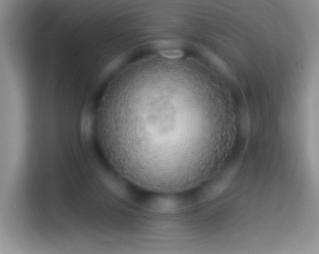 X0000113880071200910011141