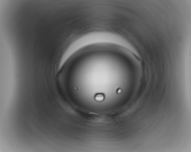 X0000113880072200910011141