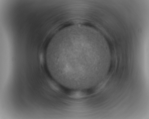 X0000113880074200910011141