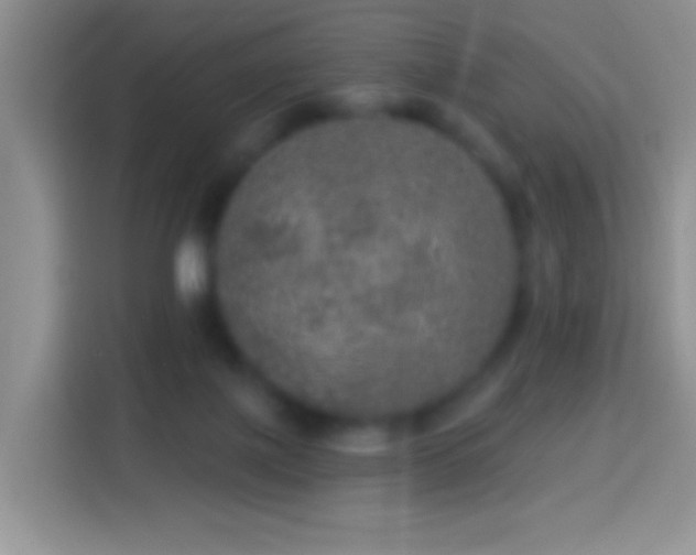 X0000113880075200910011141