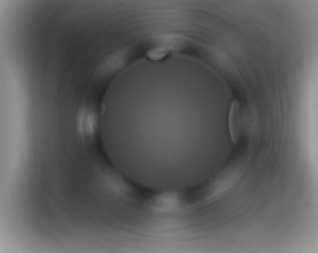 X0000113880076200910011141