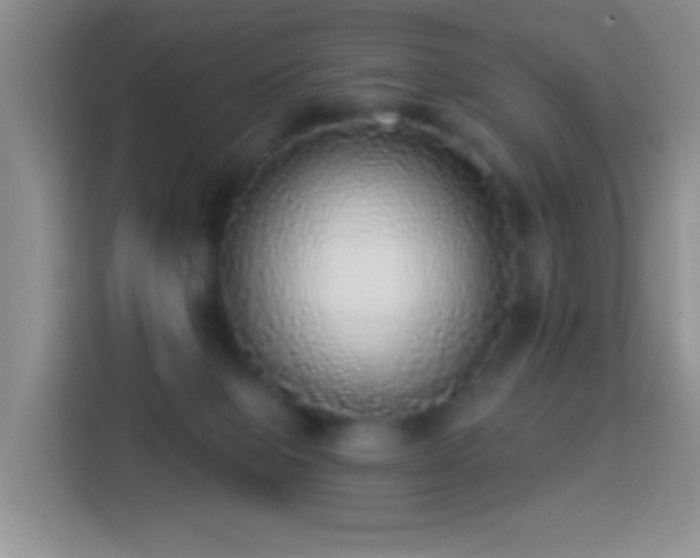 X0000113880077200910011141