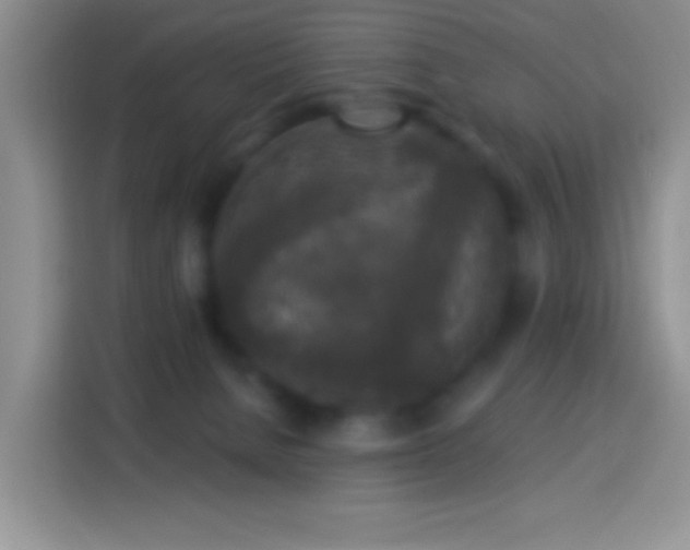 X0000113880080200910011141