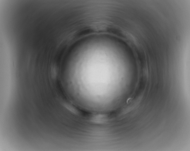 X0000113880081200910011141