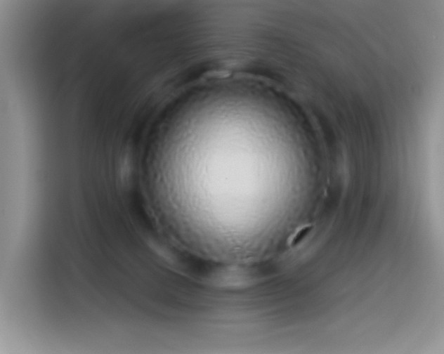 X0000113880082200910011141