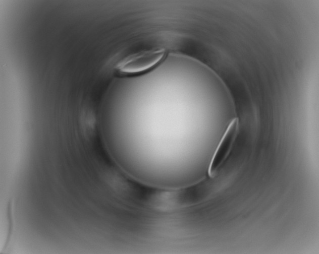 X0000113880084200910011141