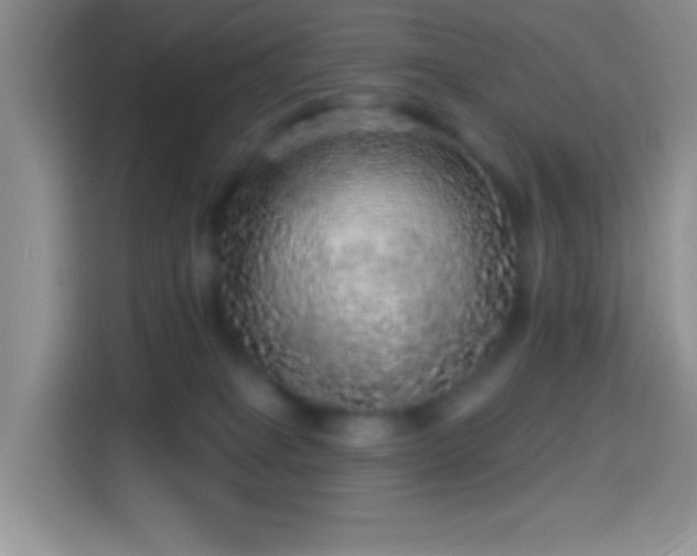 X0000113880085200910011141