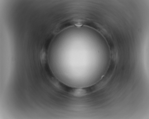 X0000113880087200910011141