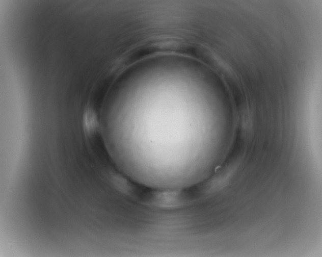 X0000113880089200910011141