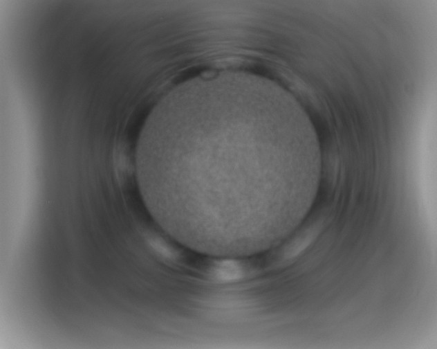 X0000113880091200910011141