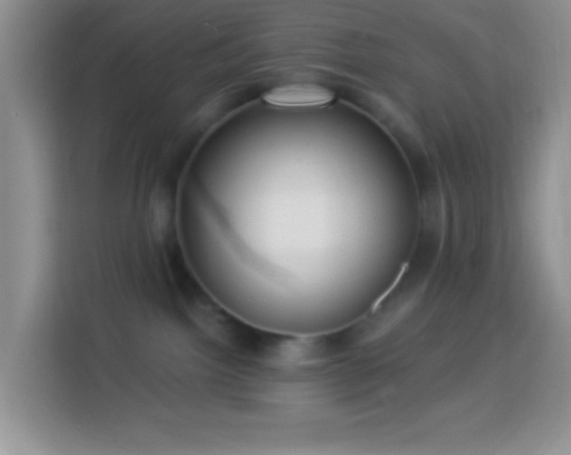 X0000113880092200910011141