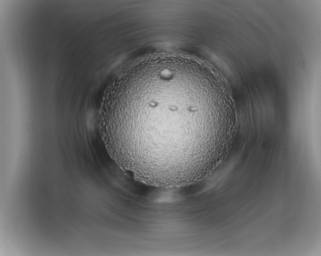 X0000113880093200910011141