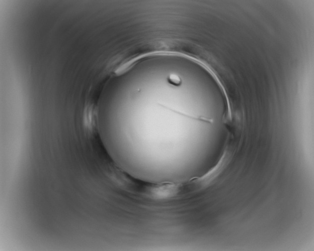 X0000113880094200910011141