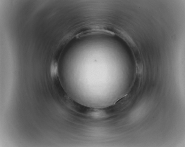 X0000113880095200910011141