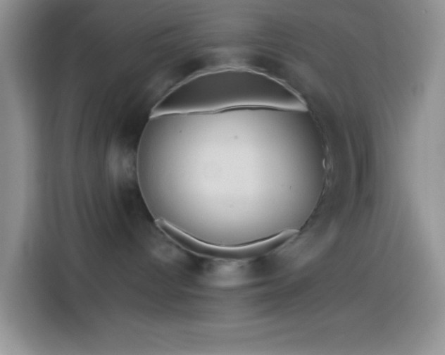 X0000113880096200910011141