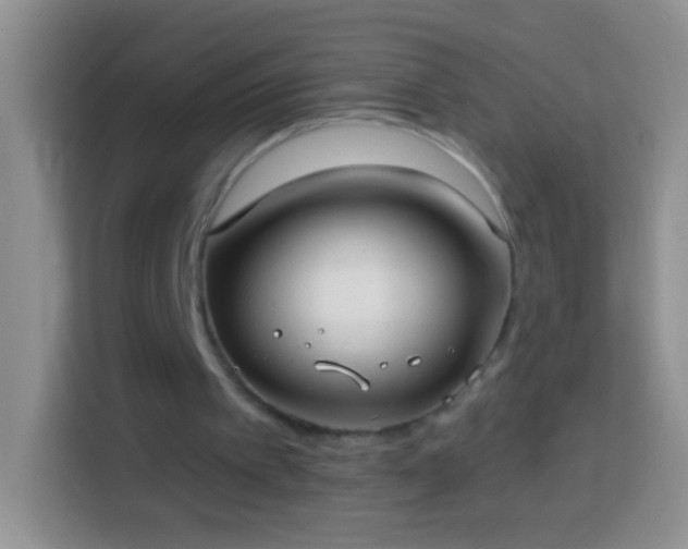 X0000113880097200910011140