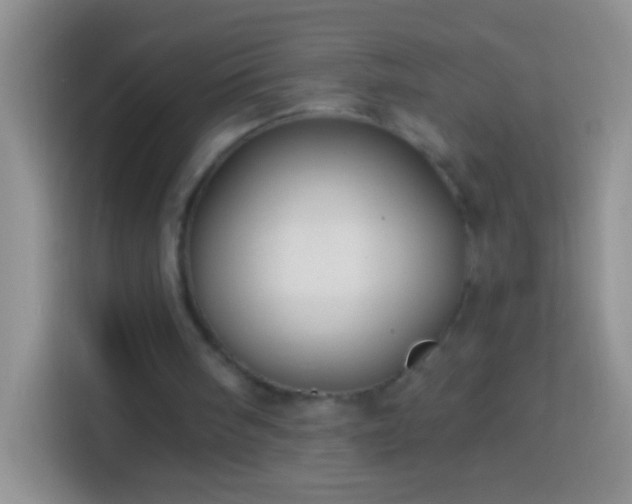 X0000113880098200910011140