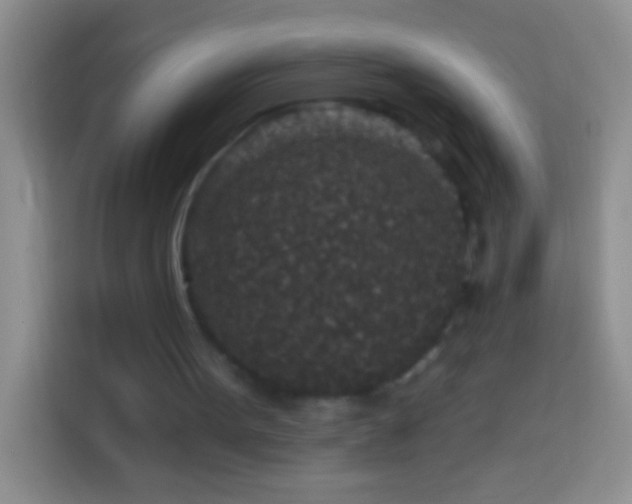 X0000113880099200910011140