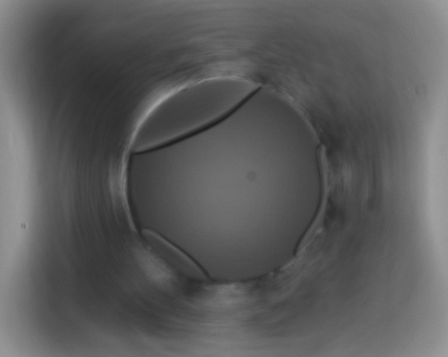 X0000113880100200910011140