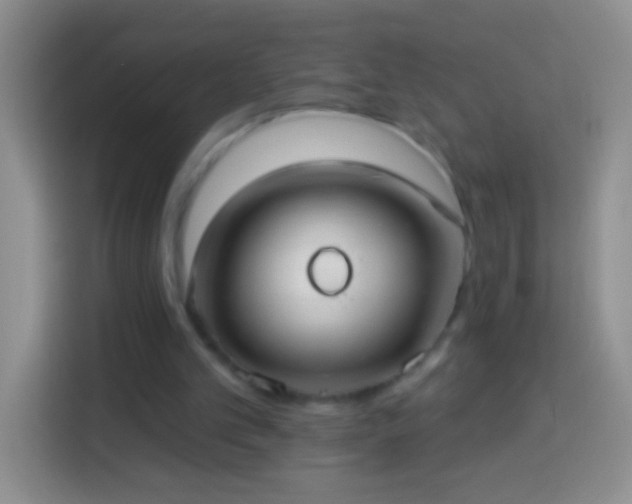 X0000113880101200910011140