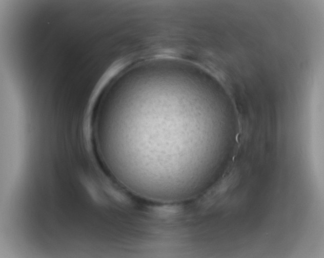 X0000113880102200910011140