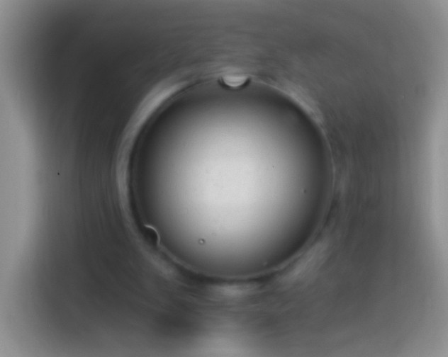 X0000113880103200910011140