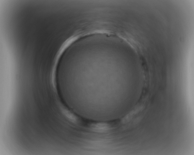 X0000113880104200910011140