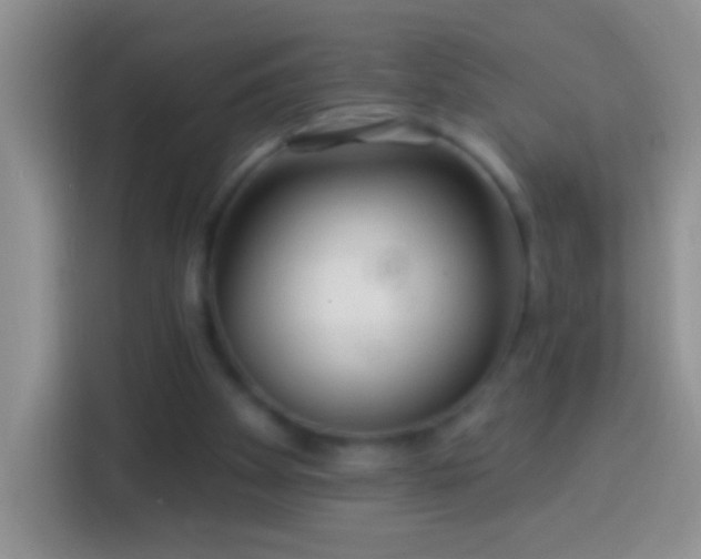 X0000113880105200910011140