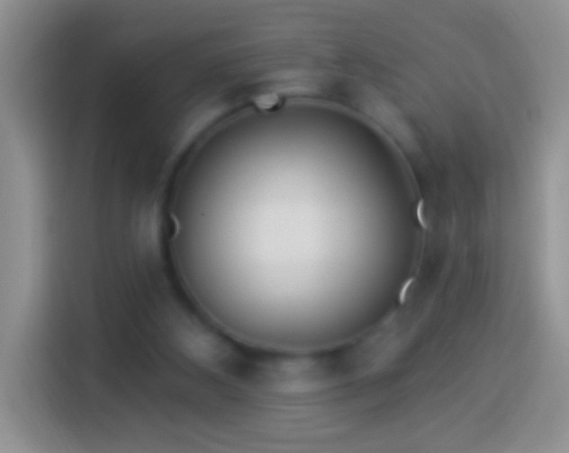 X0000113880108200910011140