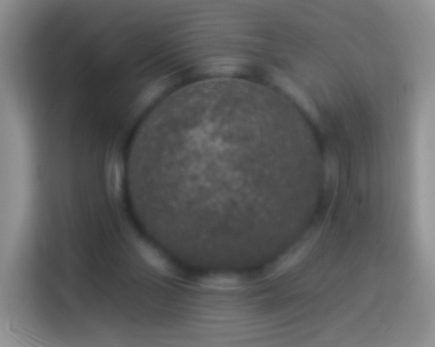 X0000113880110200910011140