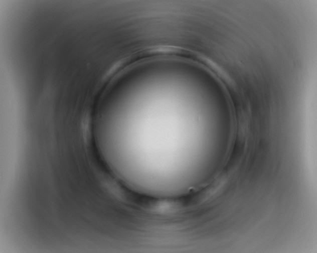 X0000113880111200910011140