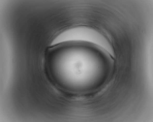 X0000113880113200910011140