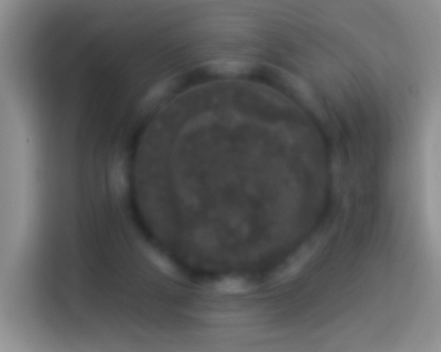 X0000113880114200910011140