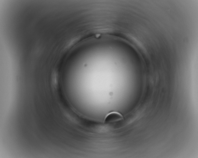 X0000113880115200910011140