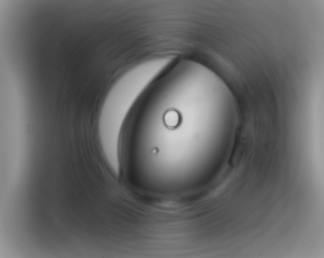 X0000113880121200910011140