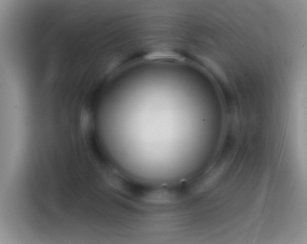 X0000113880123200910011140