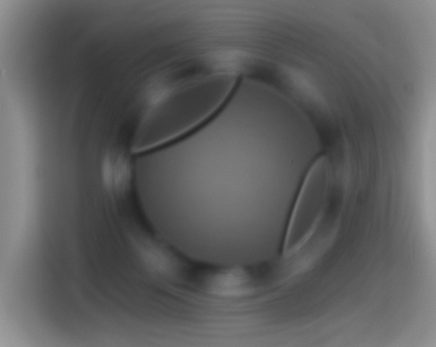 X0000113880124200910011140