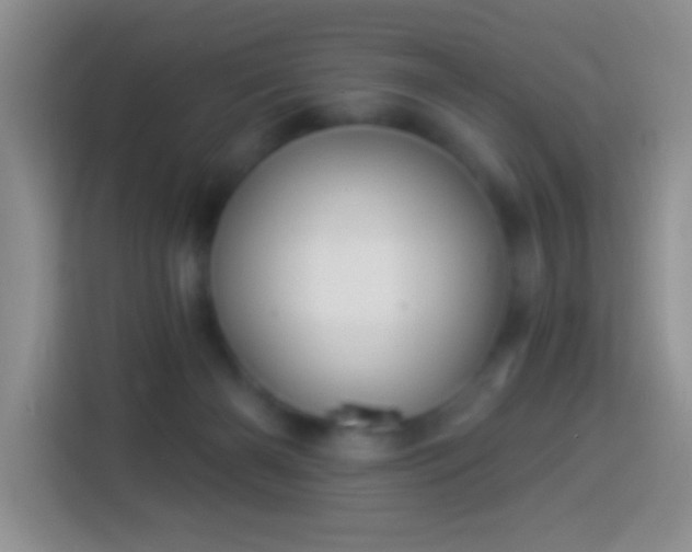 X0000113880126200910011140