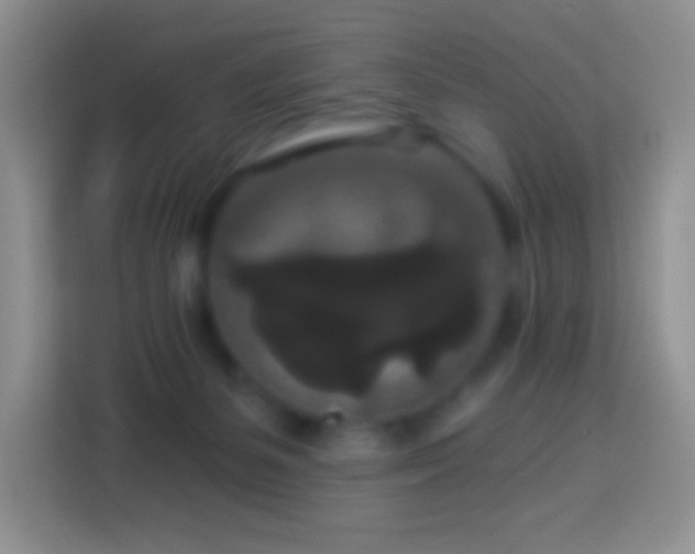 X0000113880127200910011140