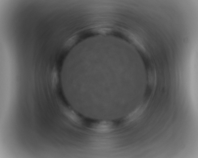 X0000113880128200910011140