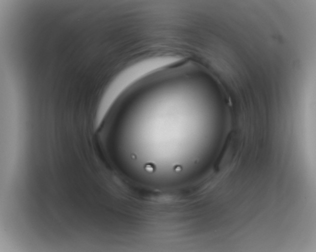 X0000113880129200910011140