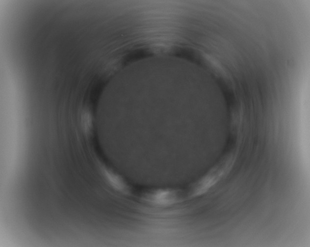 X0000113880130200910011140