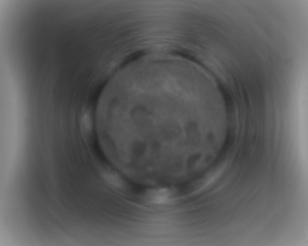 X0000113880131200910011140