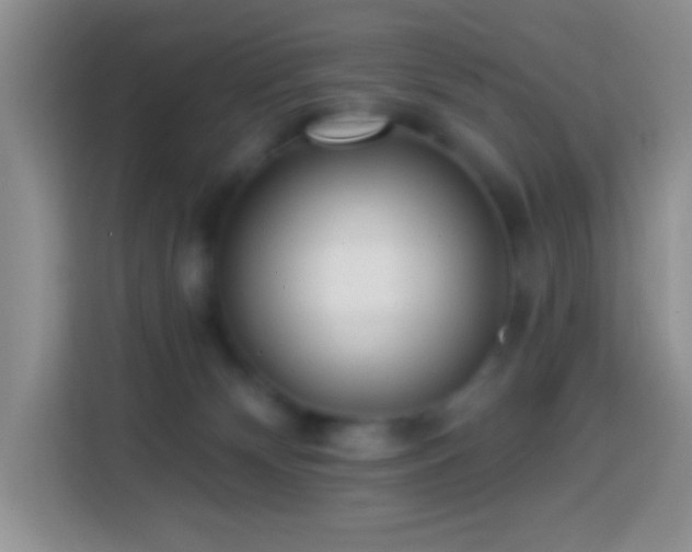 X0000113880132200910011140