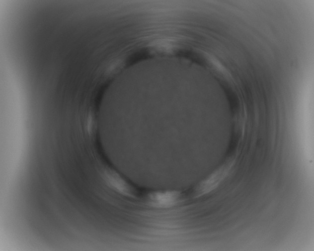 X0000113880134200910011140