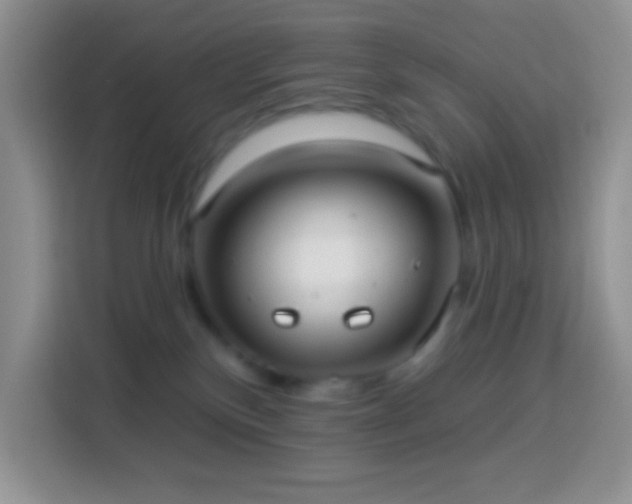 X0000113880136200910011140