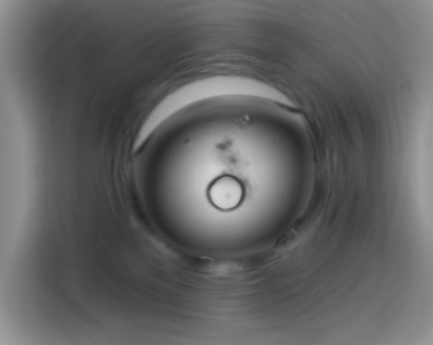 X0000113880137200910011140