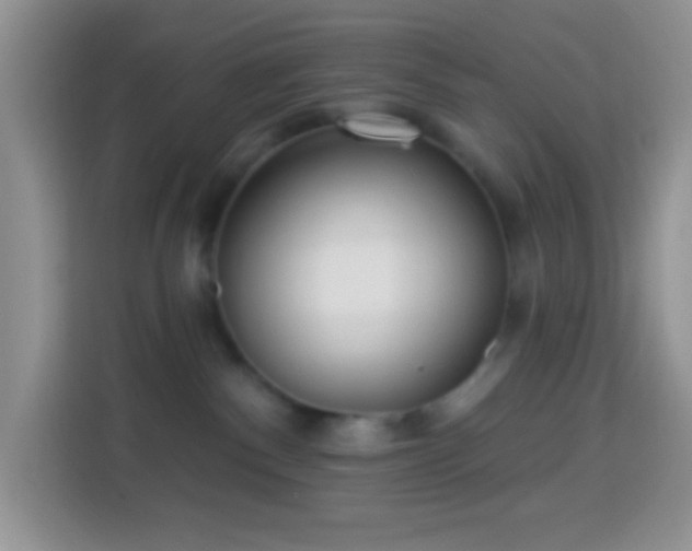 X0000113880140200910011140