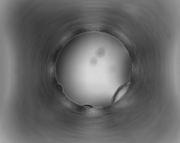 X0000113880141200910011140